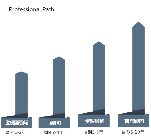 专业路径